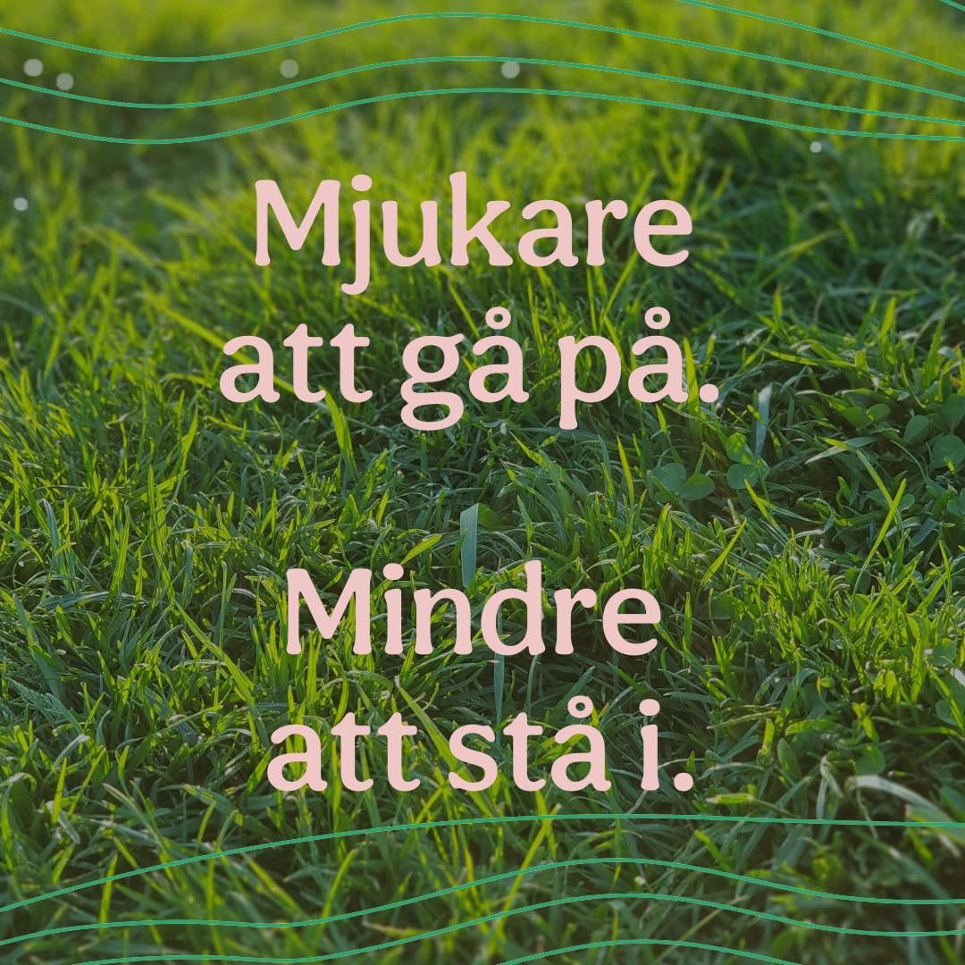 XEED MUGGAR